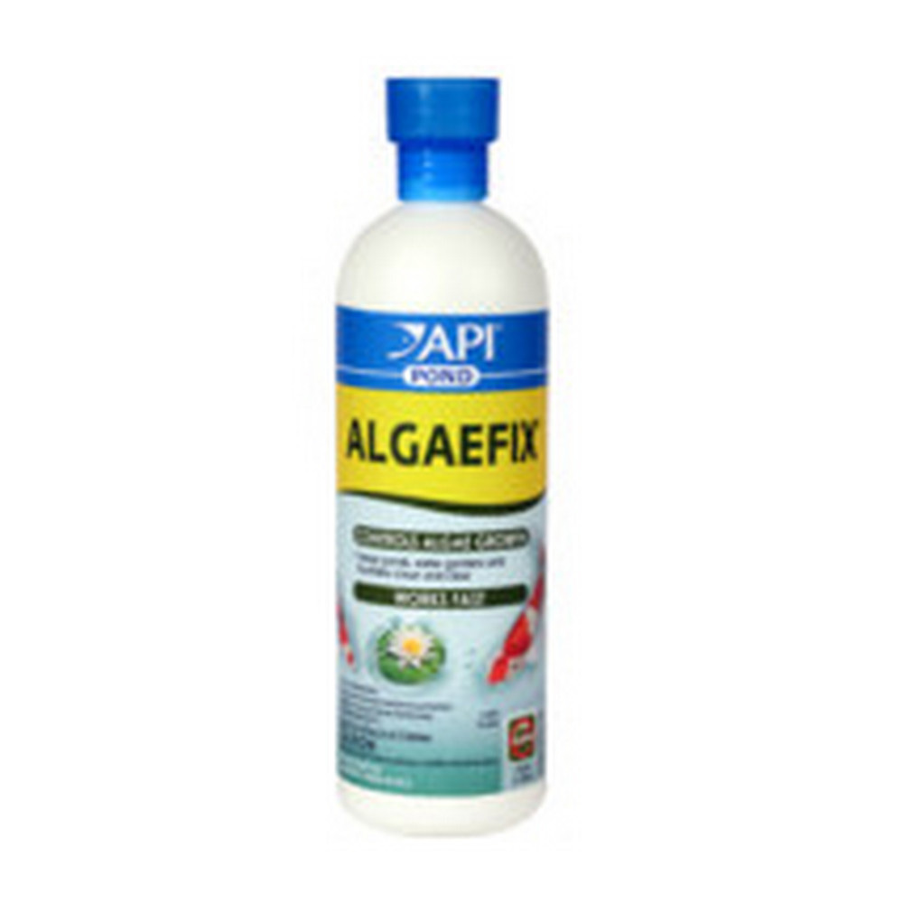 API AlgaeFix Liquid Algaecide