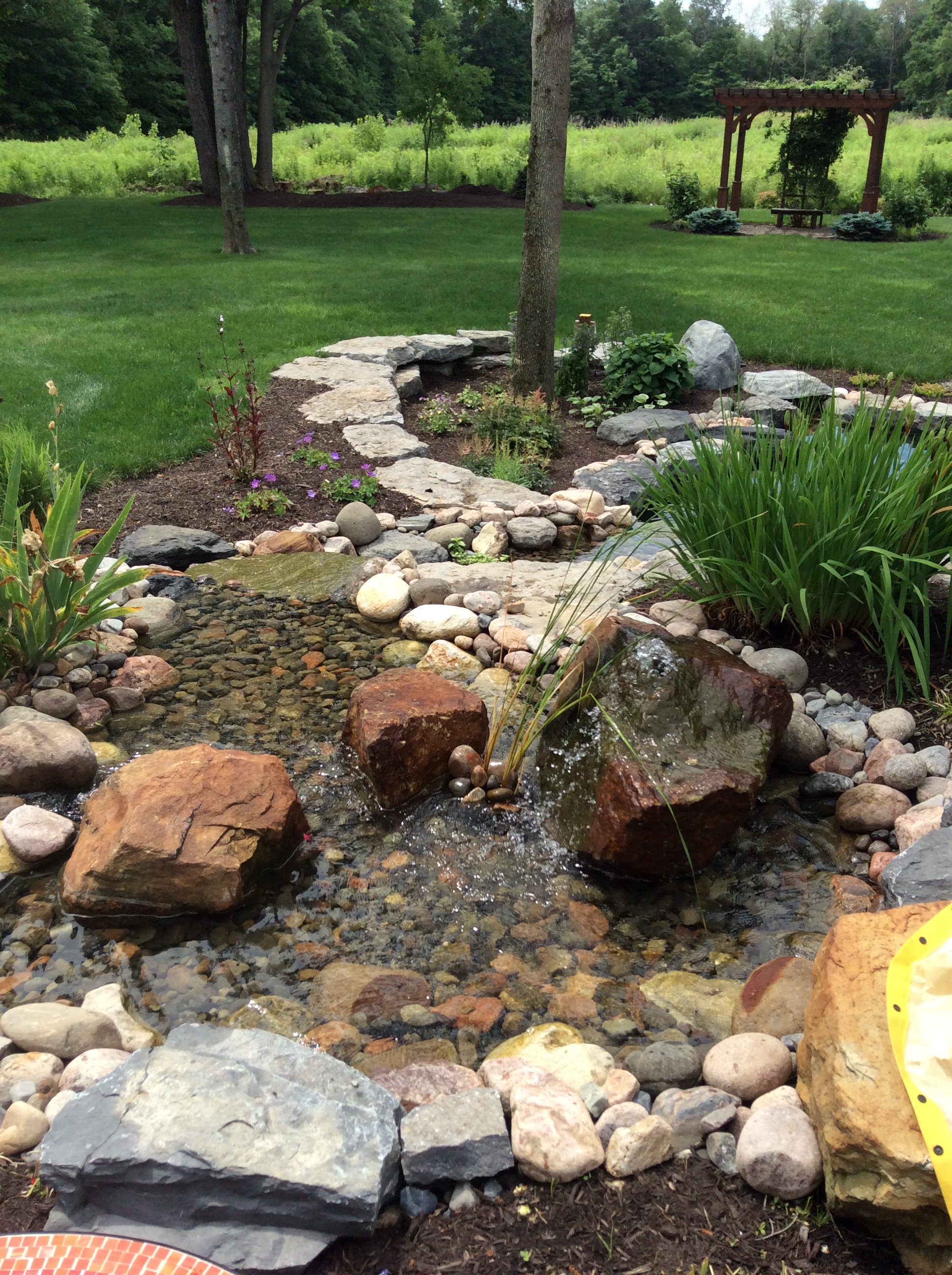 Backyard Beautification Castle Aquatics