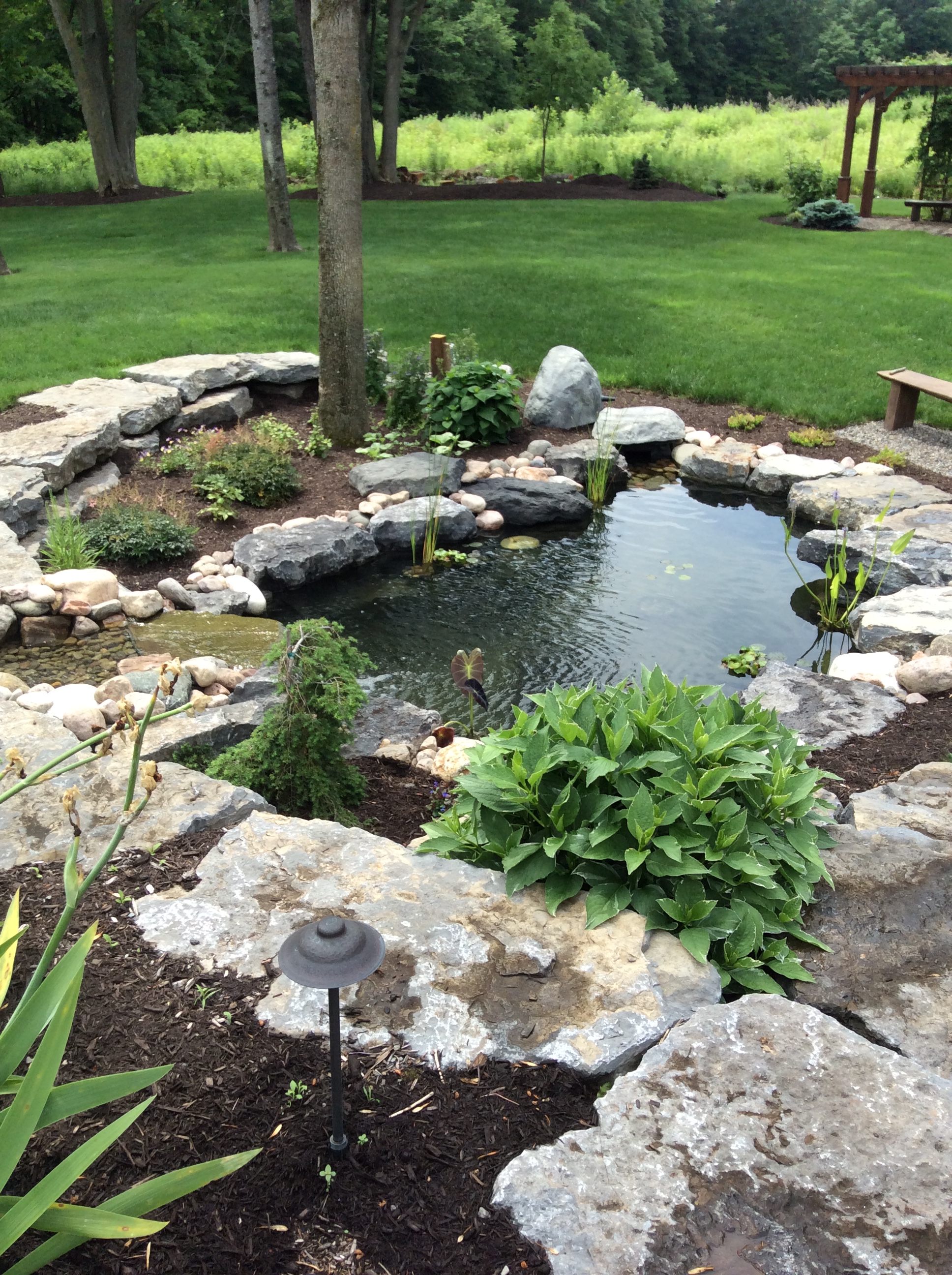 Backyard Beautification Castle Aquatics