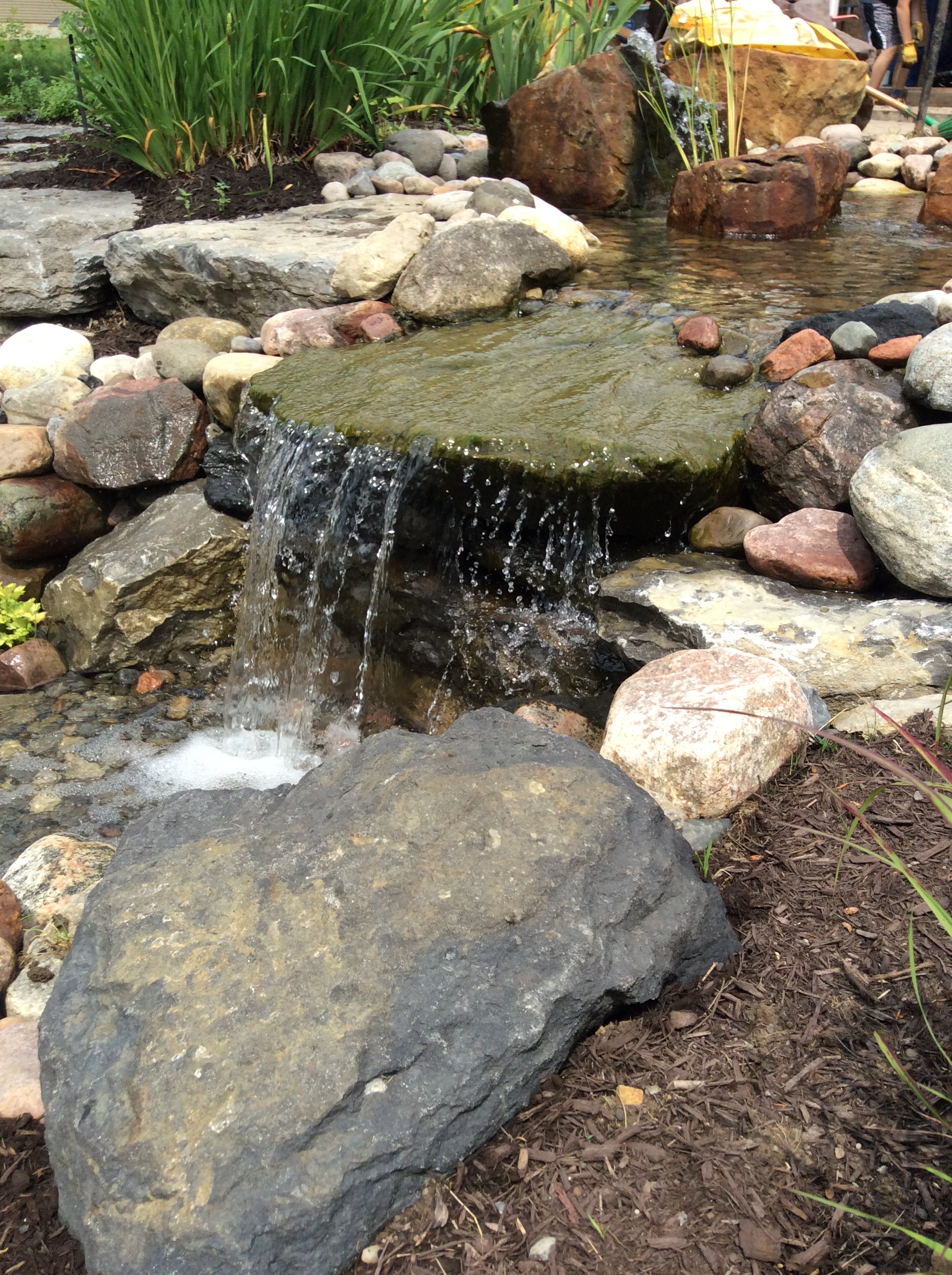 Backyard Beautification – Castle Aquatics