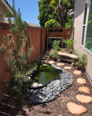 Beautiful Pond in Tight Spaces