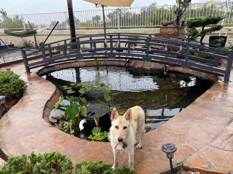 Aquatic Warehouse Castle Aquatics