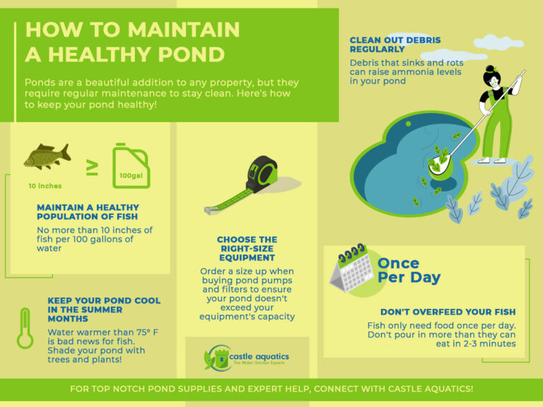 7 Steps For Maintaining A Clean Pond Castle Aquatics
