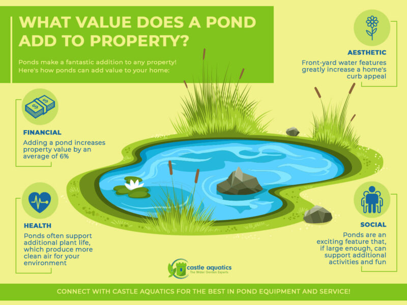 How A Pond Can Add Value To Your Property Castle Aquatics