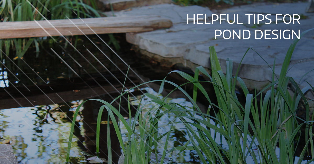 Helpful Tips For Your Pond Design – Castle Aquatics