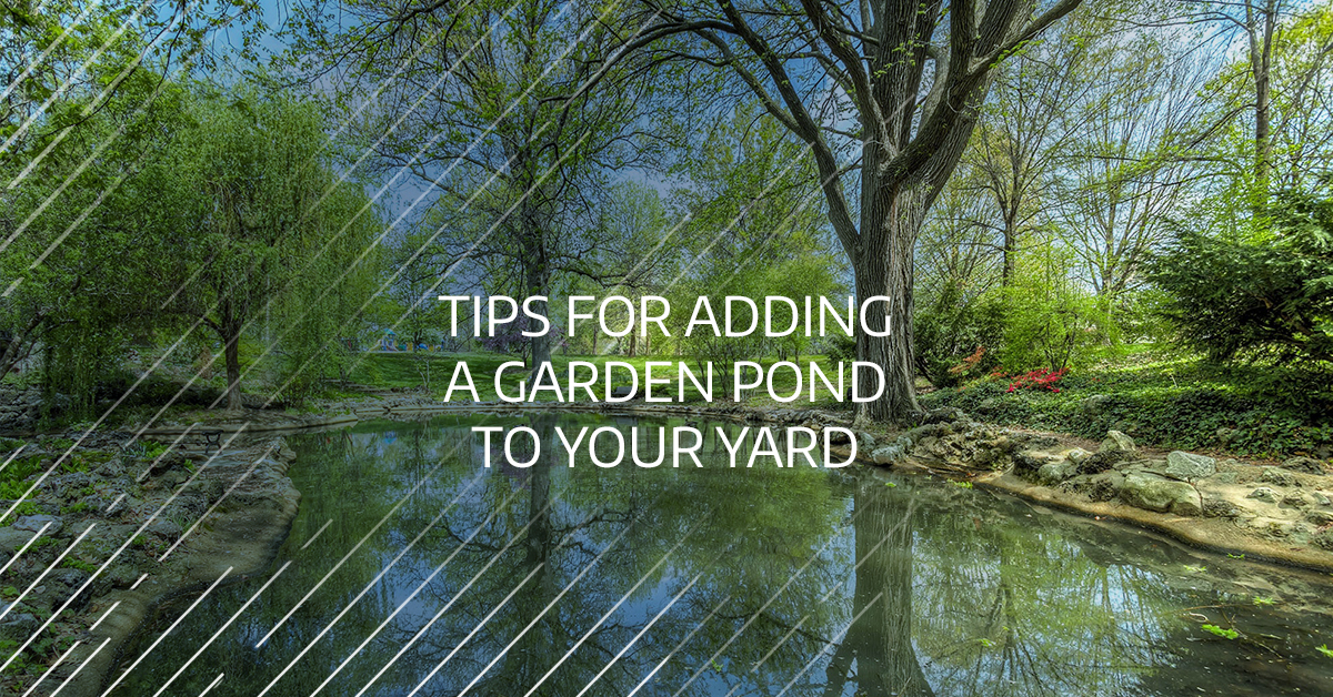 Tips For Adding A Garden Pond To Your Yard Castle Aquatics