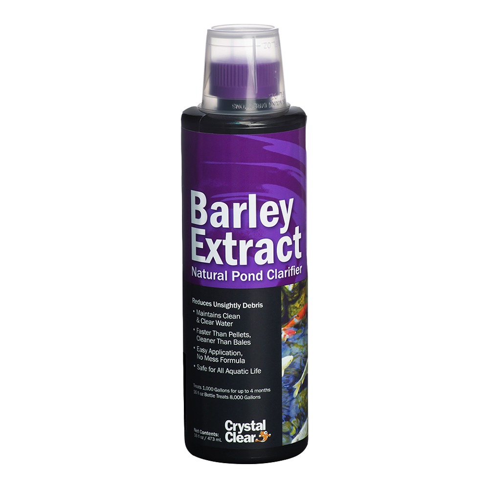 CC Barley Extract, Liquid, 16 oz