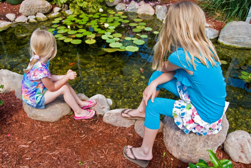 Girl scooping fishing net in plastic tadpole pond on garden table - Stock  Photo - Dissolve