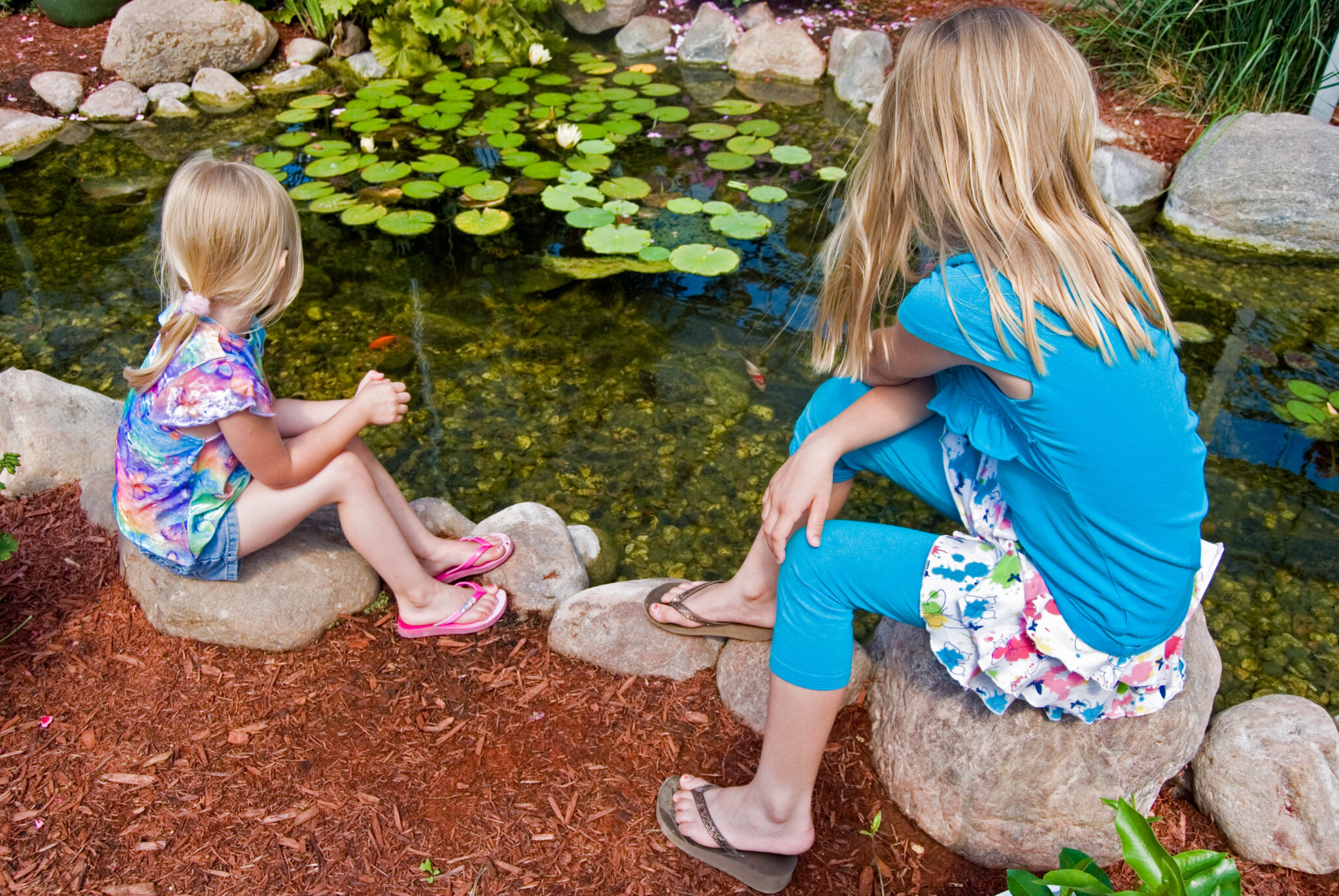 How To Make Your Pond Safe For Children Castle Aquatics