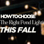 How To Choose The Right Pond Lighting This Fall