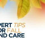 tips for fall pond care