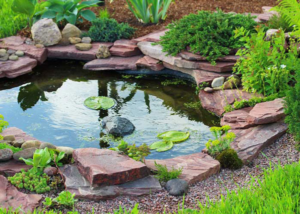 tips-tokeeo-fish-pond-cool-in-summer