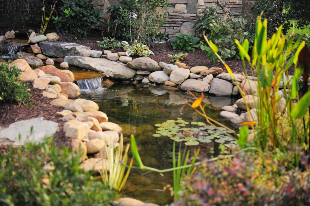 choose-pond-pump-summer.