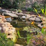 choose-pond-pump-summer.