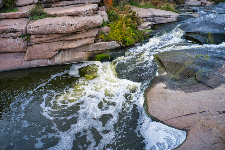 foammy-water-backyard-pond