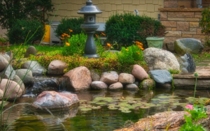 pond-evaporation-summer-koi
